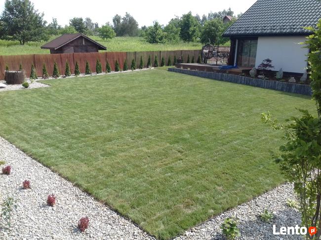 Zakładanie Ogrodów, Zakładanie Trawników z Rolki