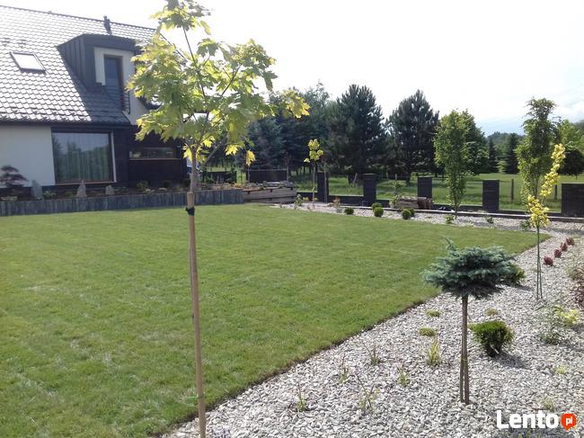 Zakładanie Ogrodów, Zakładanie Trawników z Rolki