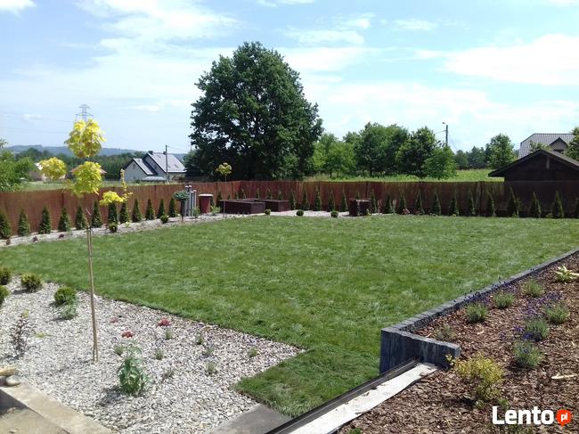 Zakładanie Ogrodów, Zakładanie Trawników z Rolki