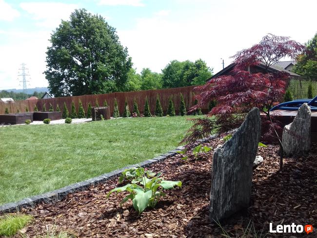 Zakładanie Ogrodów, Zakładanie Trawników z Rolki