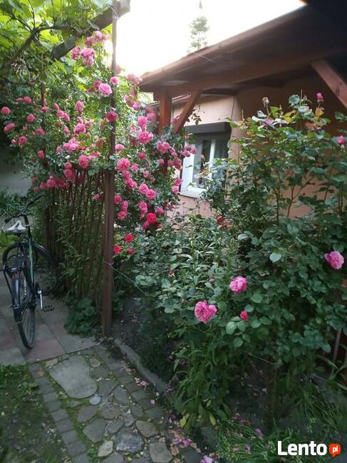 Budynek mieszkalny 6 lokali 940000