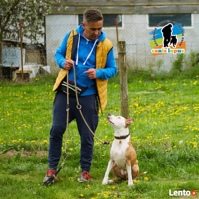 Pozytywne Szkolenie Psów Bydgoszcz