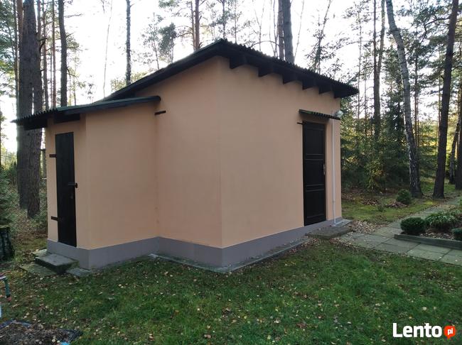 Działka Leśna pod zabudowę jednorodzinną gm. Drużbice