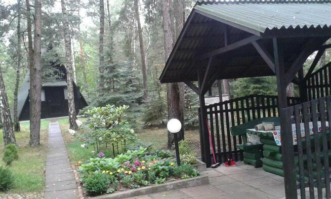 Działka Leśna pod zabudowę jednorodzinną gm. Drużbice