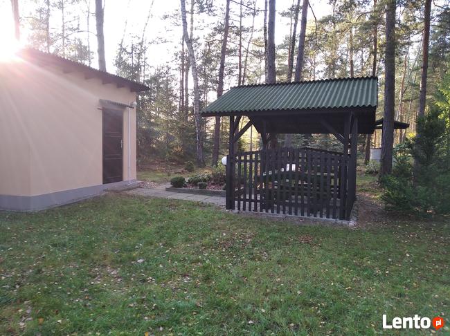 Działka Leśna pod zabudowę jednorodzinną gm. Drużbice