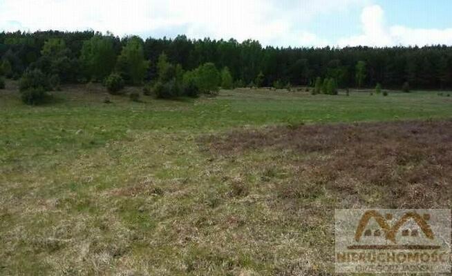 Działka siedliskowa Skoszewo gm. Wolin