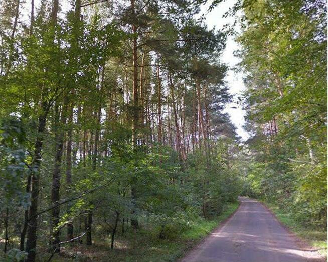 Działka leśna  gm. Wiązowna