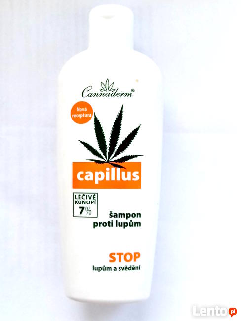 Szampon CAPILLUS 7% Oleju Przeciwłupieżowy + GRATIS