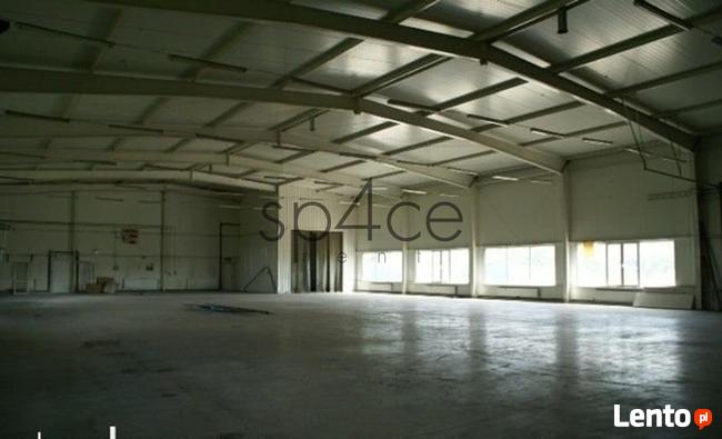 Hala. Magazyn - Warszawa Lomianki 1000 m 2
