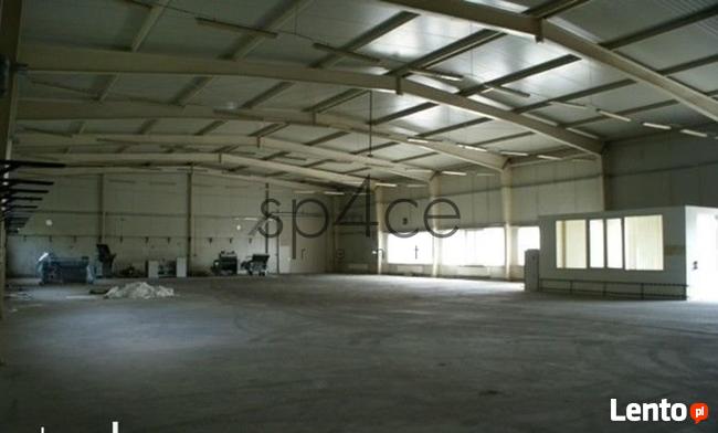 Warszawa Lomianki - Hala. Magazyn - 1000 m 2