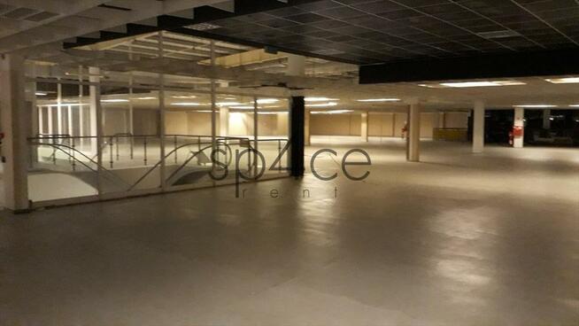 LOMIANKI - 10.000 m2. Rozrywka . Uslugi . KOMPLEKS