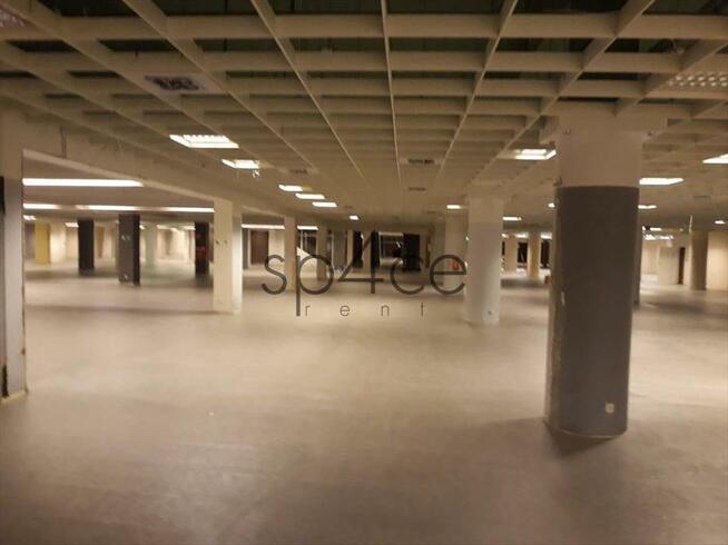 LOMIANKI - 10.000 m2. Rozrywka . Uslugi . KOMPLEKS