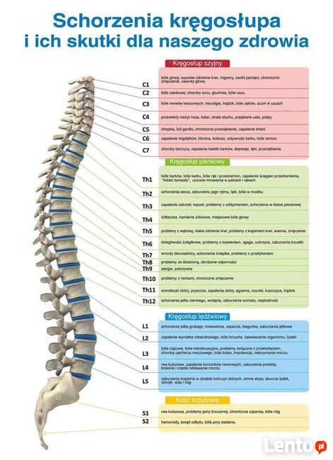Masaż relaksacyjny, tajski, klasyczny oraz akupresura stóp
