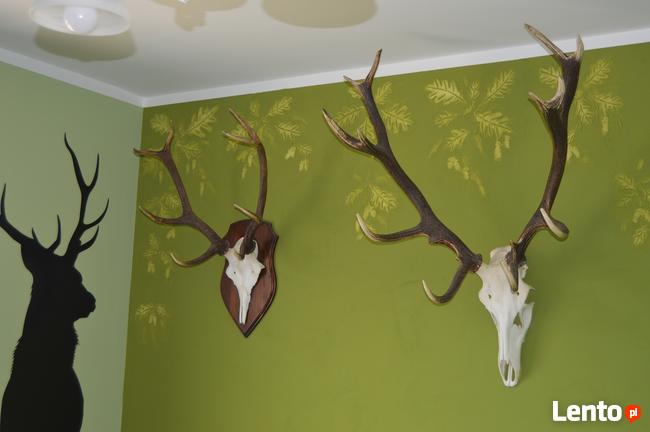 Tynki strukturalne, tynki ozdobne, stiuk, inne (od 15 lat)