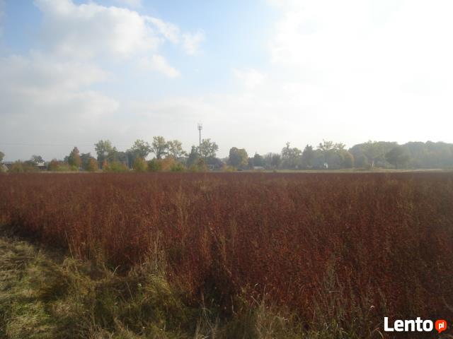 Działka rolna Borowa gm. Długołęka