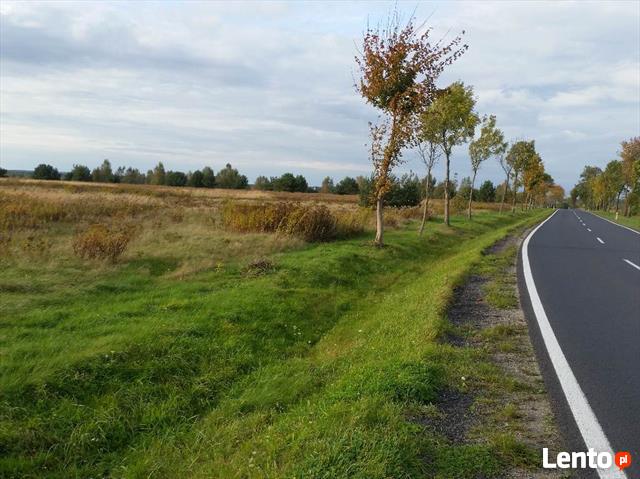 Działka Zgorzelec/Węgliniec