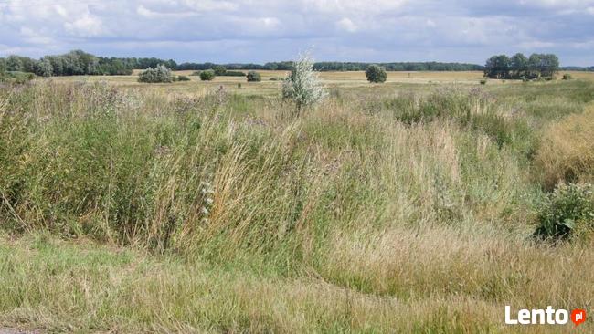 Działka Podwilcze gm. Białogard