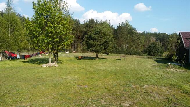 wynajmę mieszkanie, Osiek koło Skórcza