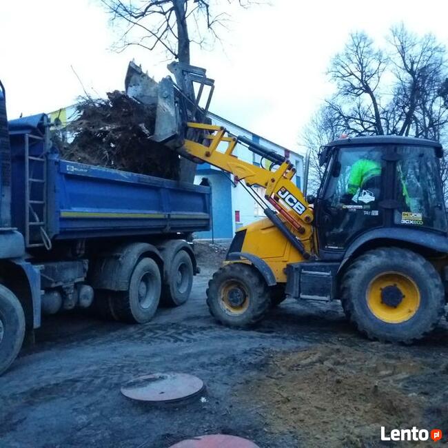 Wycinka drzew Gdańsk