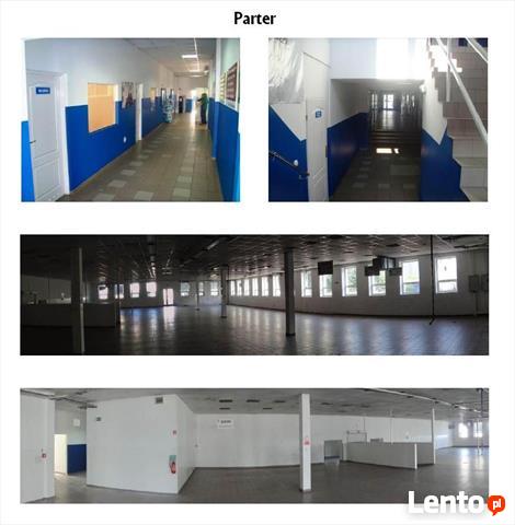 Lokal użytkowy gm. Oleśnica