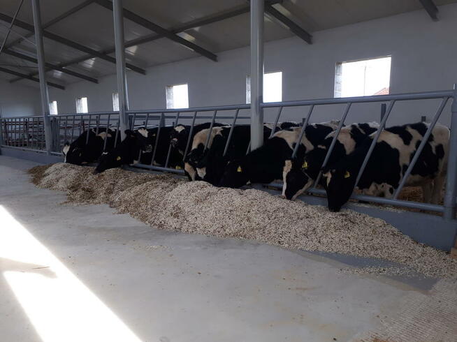 Firma Usługowo-Ślusarska