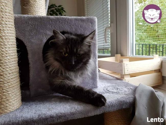 Grenada - królowa po przejściach