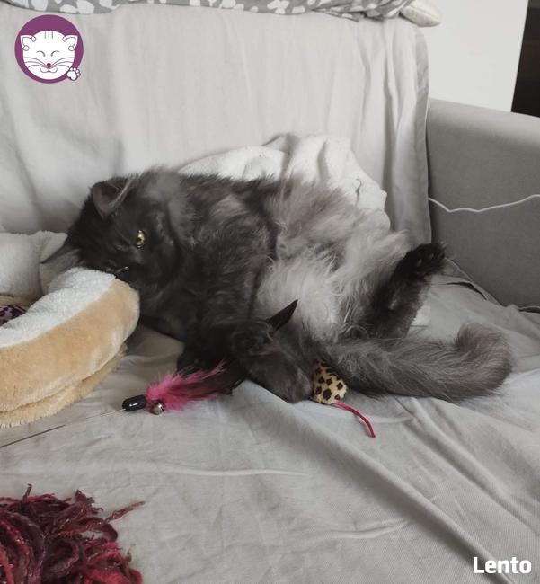 Grenada - królowa po przejściach