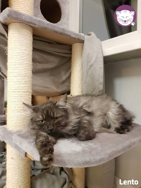 Grenada - królowa po przejściach