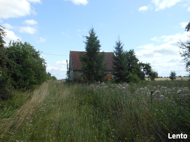 Domek i budynki gospodarcze