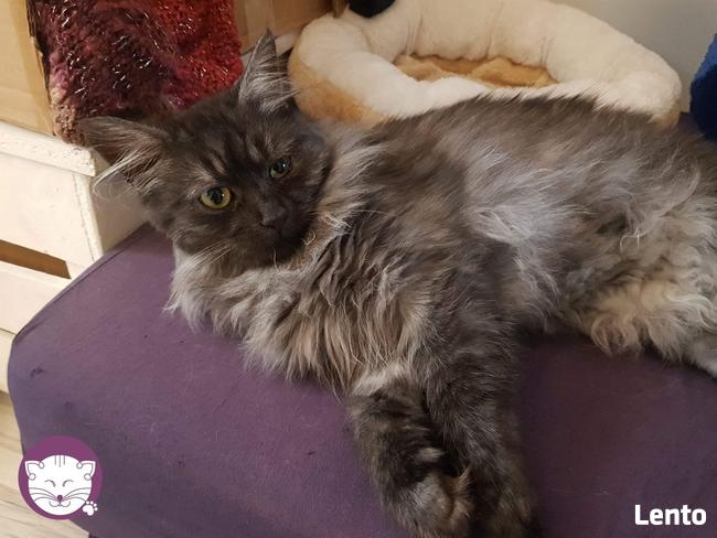 Grenada - królowa po przejściach