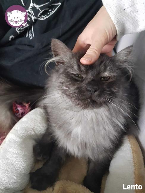 Grenada - królowa po przejściach