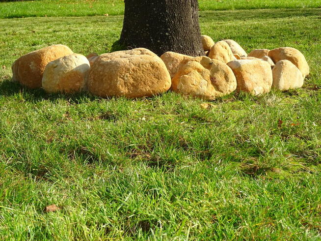 Otoczaki otoczak żółty kolorowy okrąglaki z kamienia