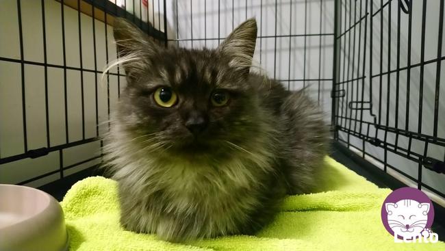 Grenada - królowa po przejściach