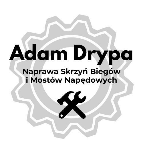 NAPRAWA MANUALNYCH SKRZYŃ BIEGÓW SAMOCHODY KAŻDEGO TYPU