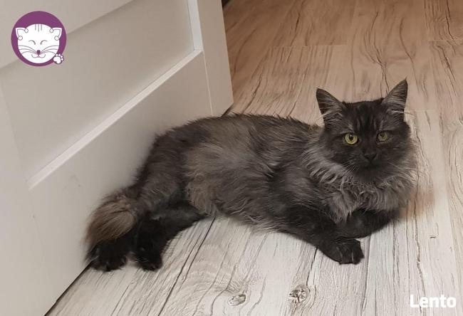 Grenada - królowa po przejściach