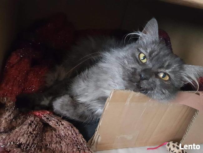 Grenada - królowa po przejściach