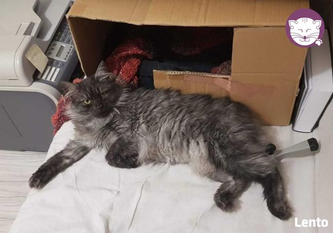 Grenada - królowa po przejściach