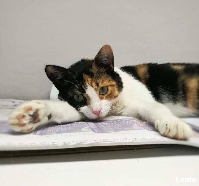 Balbina czeka już 5 lat