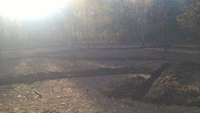 Ogrodnik wykona usługi w twoim ogrodzie