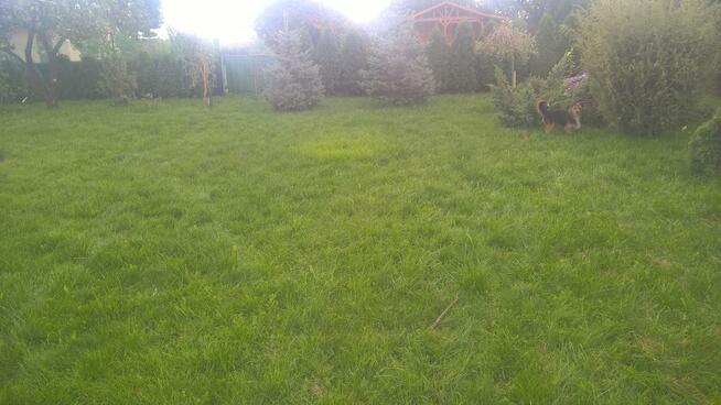 Ogrodnik wykona usługi w twoim ogrodzie