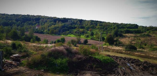 Dom na sprzedaż Kuropatnik, Strzelin