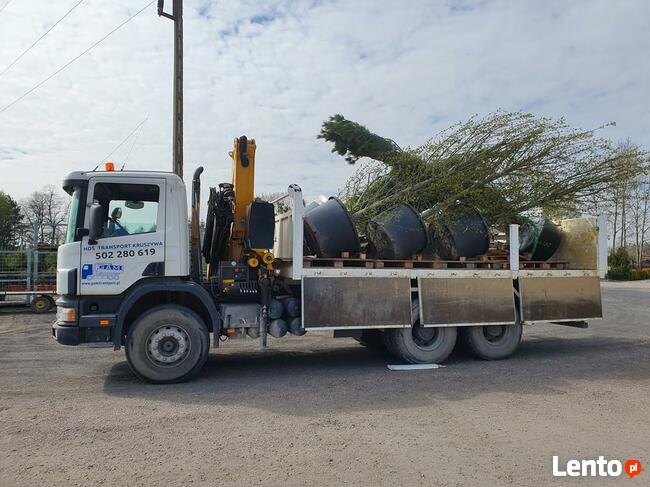 Usługa Hds, Transport Hds, Koparko-ładowarka, Wywrotka