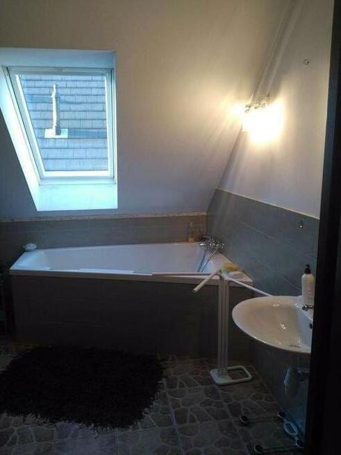 ładny pokój do wynajęcia