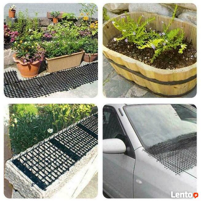 Kolce na koty na auto do ogrodu na taras