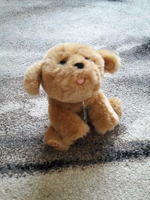 Mój Przyjaciel Tuluś- Interaktywny Piesek Little Live Pets