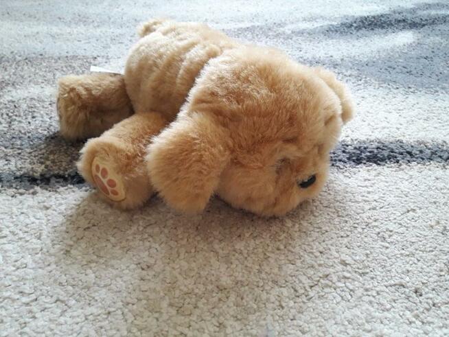 Mój Przyjaciel Tuluś- Interaktywny Piesek Little Live Pets