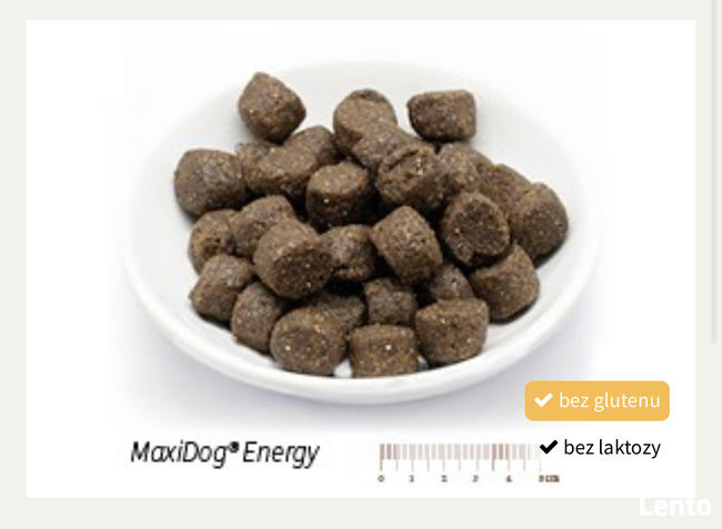 Karma Maxidog/ Maxicat Reico Vital Niemcy