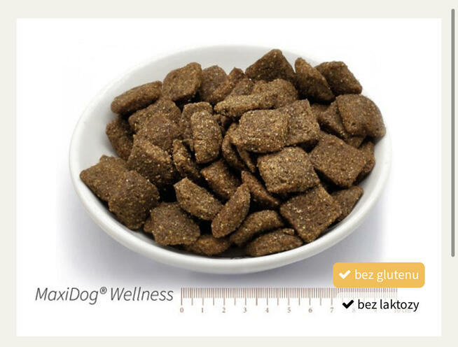 Karma Maxidog/ Maxicat Reico Vital Niemcy