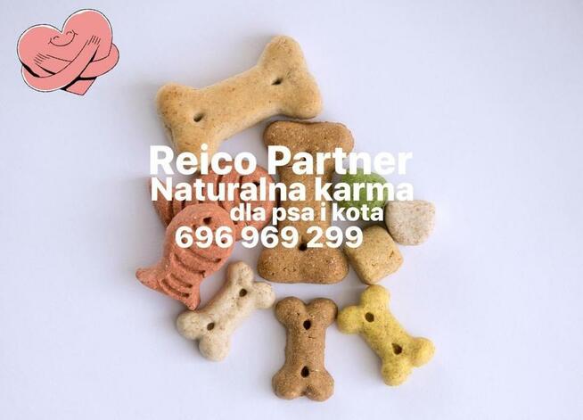 Karma Maxidog/ Maxicat Reico Vital Niemcy