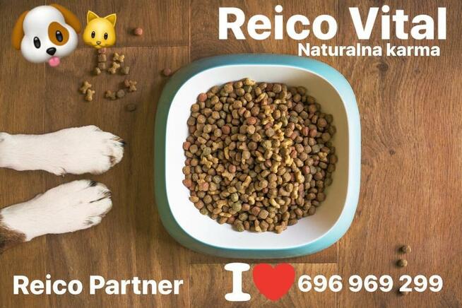 Karma Maxidog/ Maxicat Reico Vital Niemcy